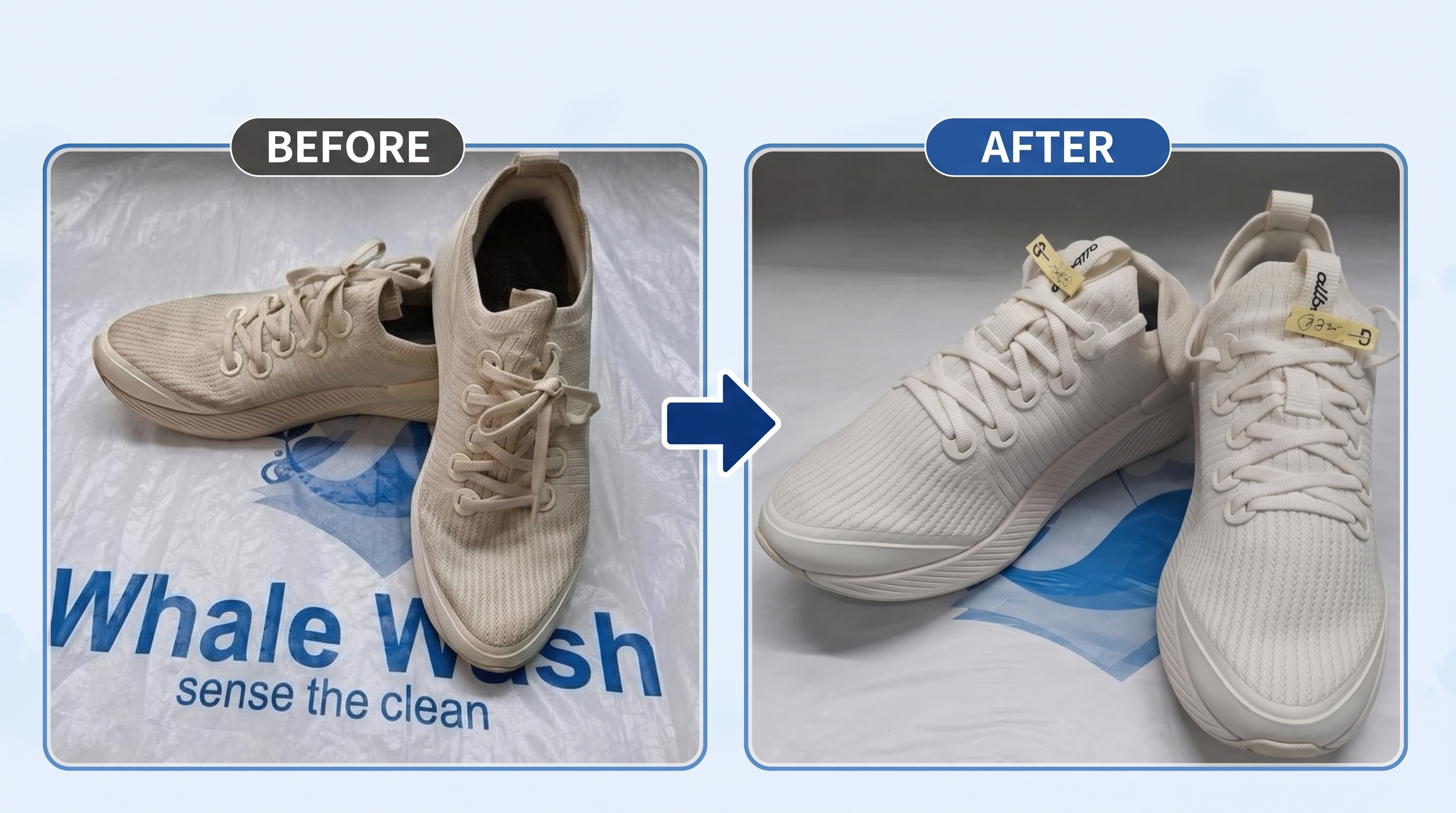 Whale Wash Before and After Shoe Cleaning